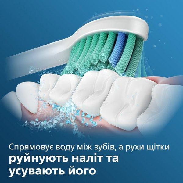 Насадки для електричної зубної щітки PHILIPS Sonicare Pro Results HX6012/07 1702203149 фото