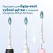 Насадки для електричної зубної щітки PHILIPS C2 Optimal Plaque Defence HX9024/10 1702203217 фото 4