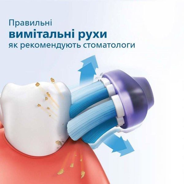 Набір електричних зубних щіток PHILIPS Sonicare 3100 series HX3675/15 1702201049 фото