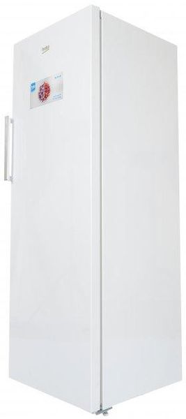 Морозильна камера Beko RFNE290L21W 1701212269 фото